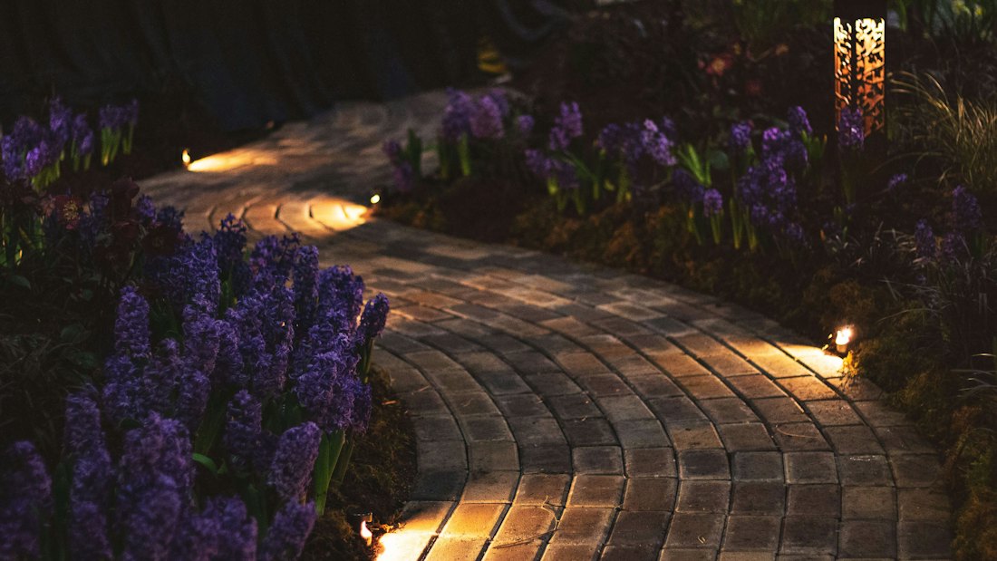 Garden path lighting at night